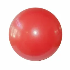 Pelota 24 cm fitness – ROJA