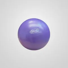 Pelota 24 cm fitness – VIOLETA