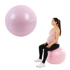 Pelota 65 cm soporta 800kg profesional – c/inflador – ROSA